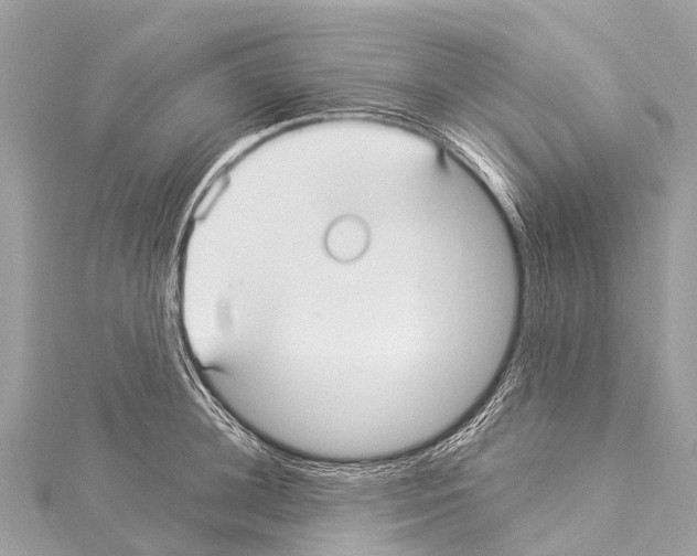 X0000114180948200911191305