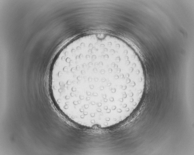 X0000114180949200911191305