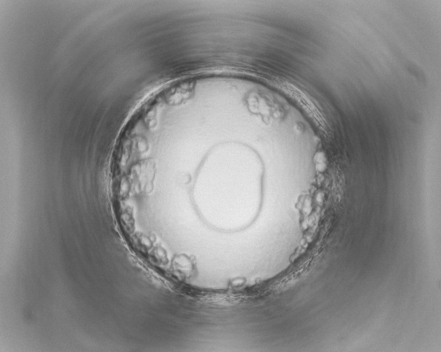 X0000114180950200911191305