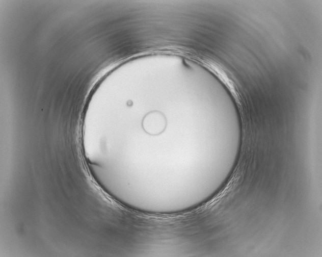 X0000114180952200911191305