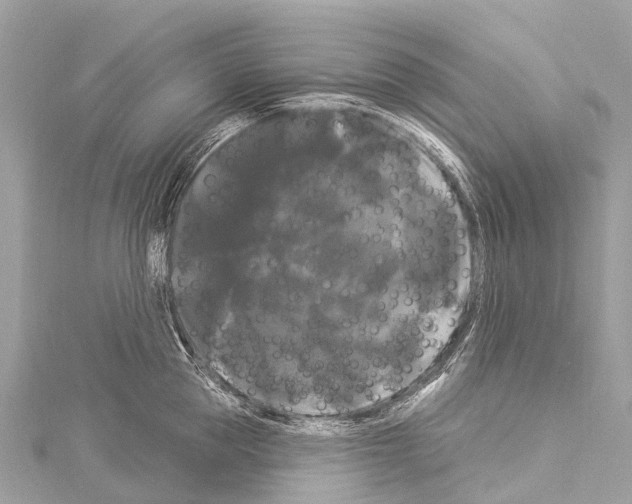 X0000114180953200911191305