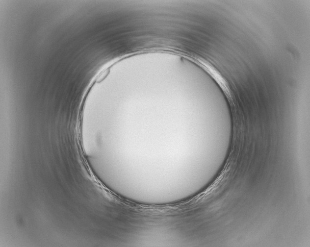 X0000114180956200911191305