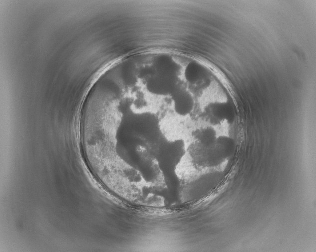 X0000114180957200911191305