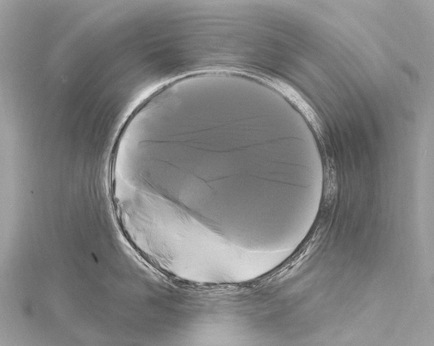 X0000114180958200911191305