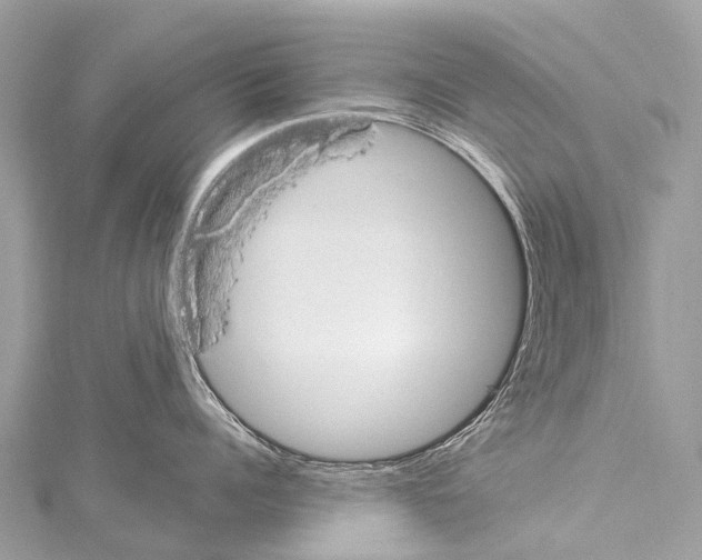 X0000114180960200911191305