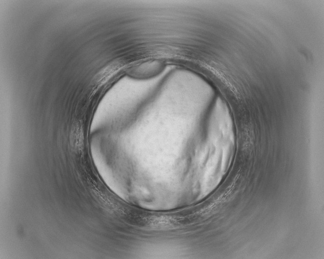 X0000114180969200911191304