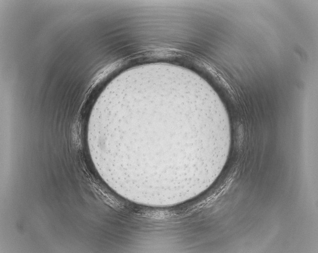 X0000114180970200911191304