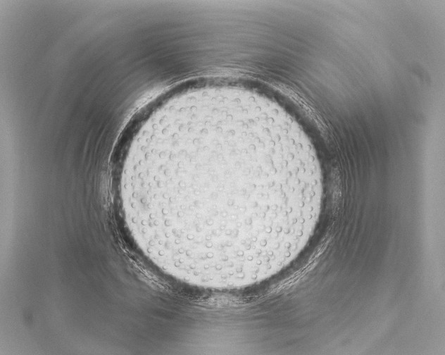 X0000114180974200911191304