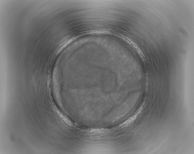 X0000114180985200911191304