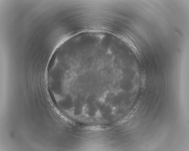 X0000114180990200911191304