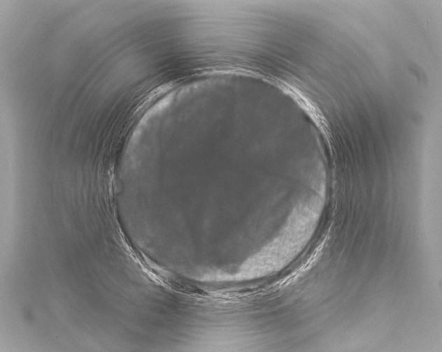 X0000114180993200911191304