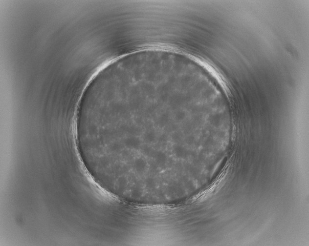 X0000114180999200911191304