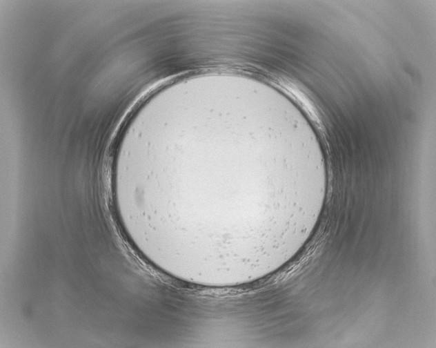 X0000114181000200911191304