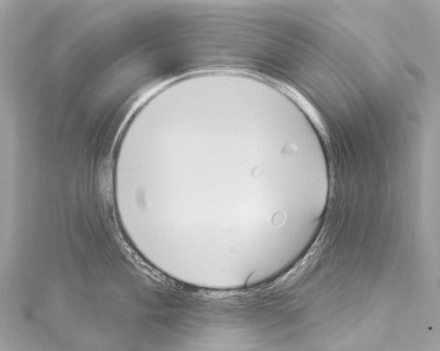 X0000114181004200911191304