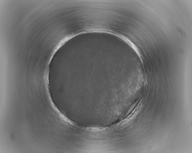 X0000114181005200911191304