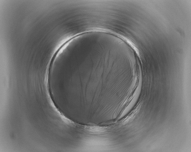 X0000114181007200911191304