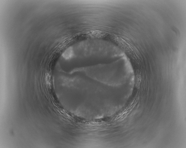 X0000114181010200911191303