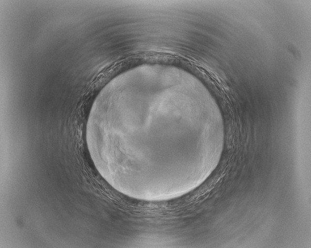 X0000114181013200911191303