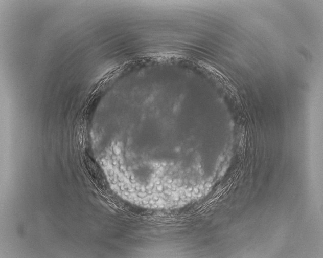 X0000114181014200911191303