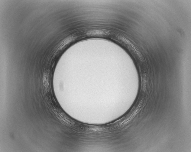 X0000114181017200911191303