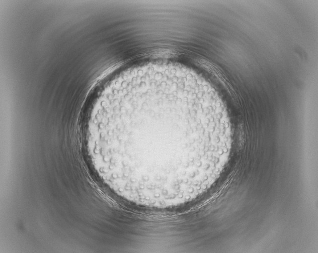 X0000114181018200911191303