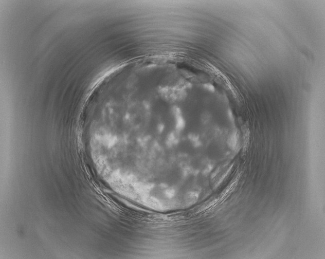 X0000114181019200911191303