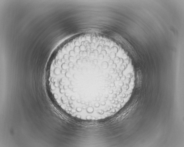 X0000114181020200911191303