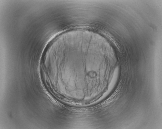 X0000114181024200911191303