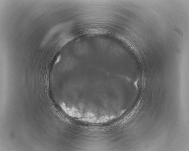 X0000114181025200911191303