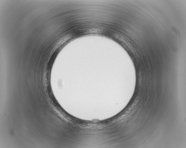 X0000114181026200911191303