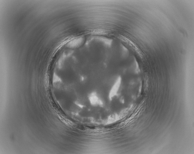 X0000114181027200911191303