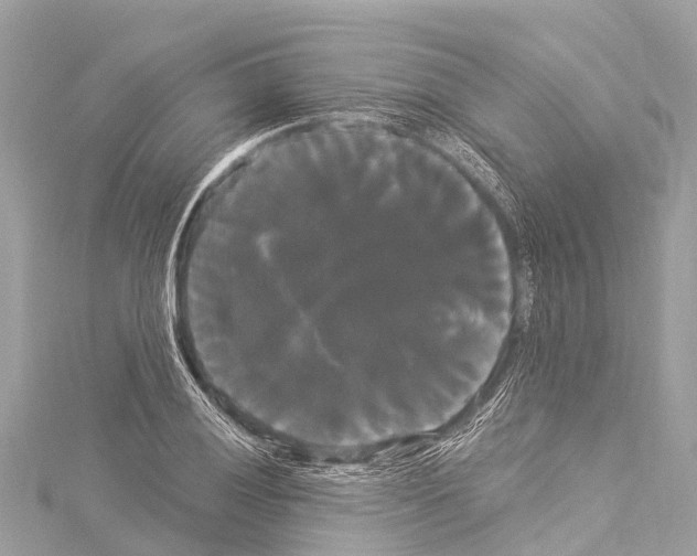 X0000114181028200911191303