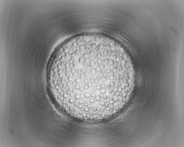 X0000114181030200911191303