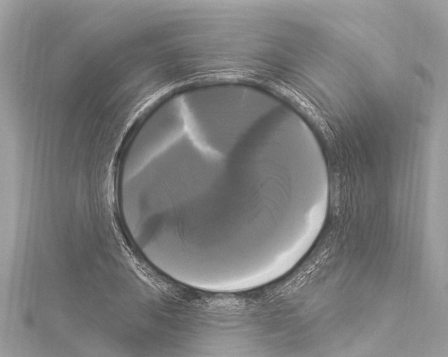 X0000114181031200911191303