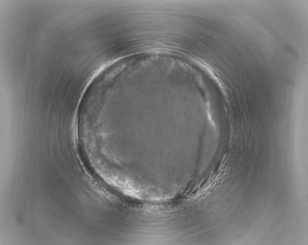 X0000114181032200911191303