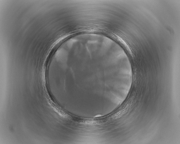 X0000114181035200911191303