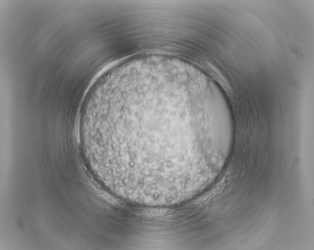 X0000114181036200911191303