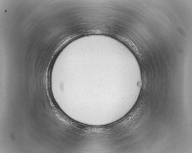 X0000114181039200911191303