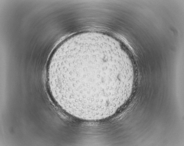 X0000114181040200911191303