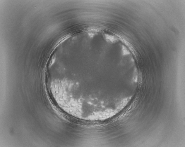 X0000114181042200911191303