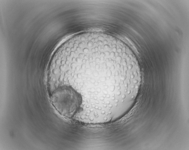 X0000114181044200911191303