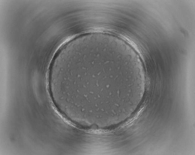 X0000114181045200911191303