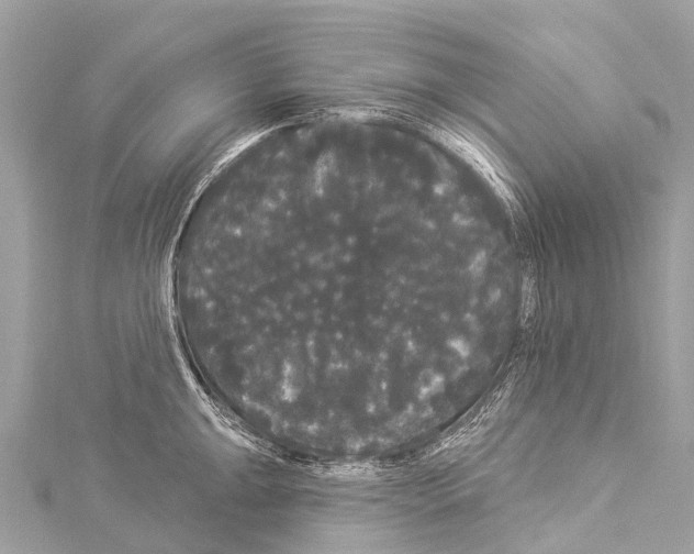 X0000114181047200911191303