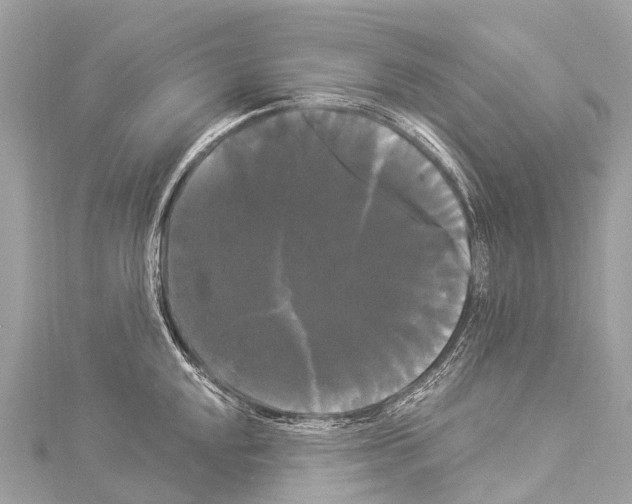 X0000114181048200911191303