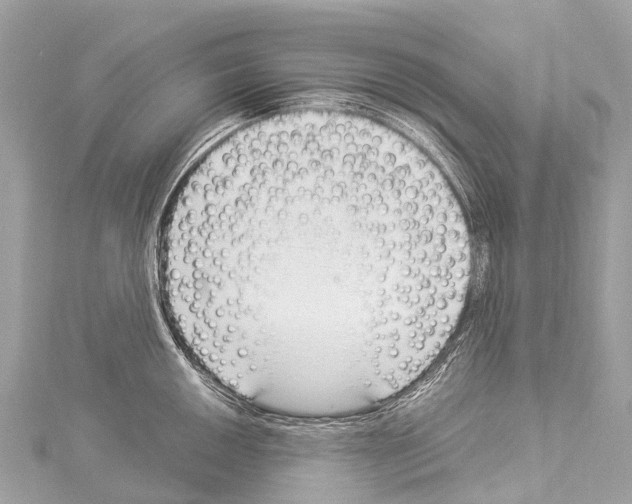 X0000114181050200911191303