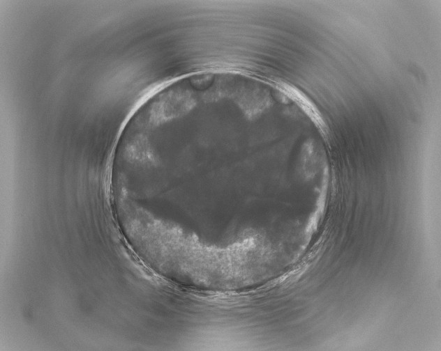 X0000114181052200911191303