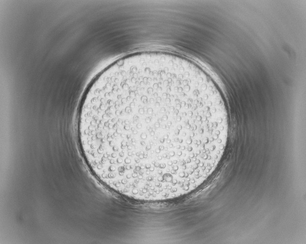 X0000114181053200911191303