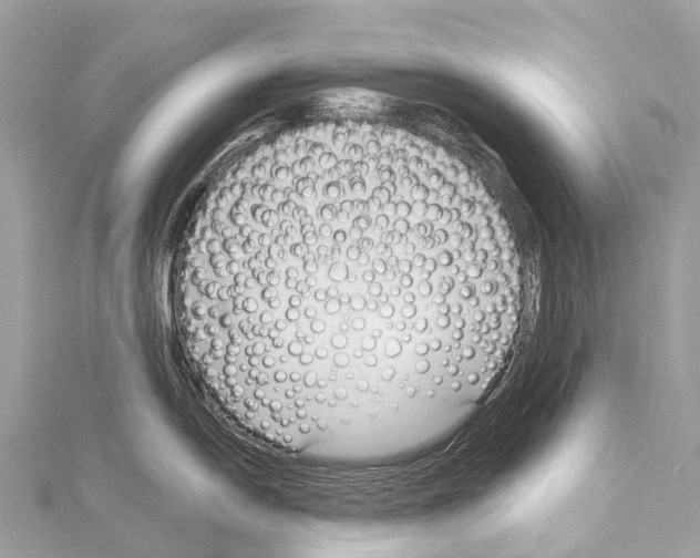 X0000114181054200911191303