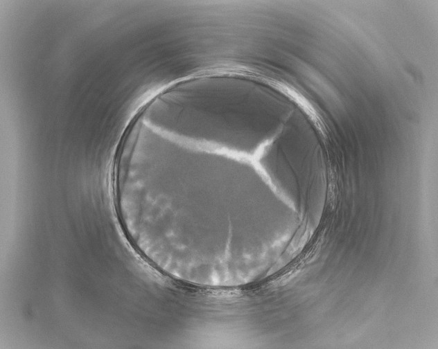 X0000114181055200911191303