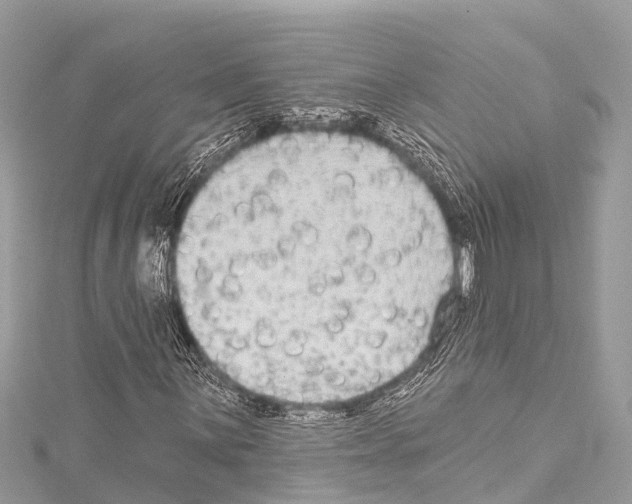 X0000114181059200911191303